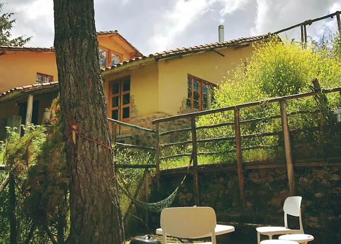 The Tree House *